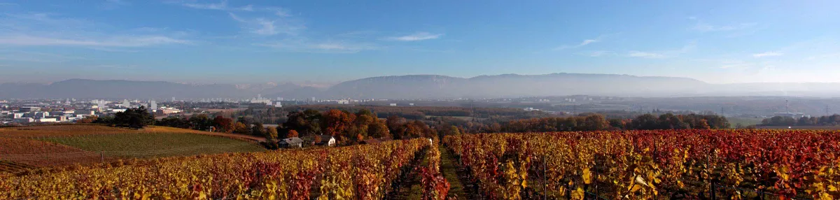 Les Tours à Genève