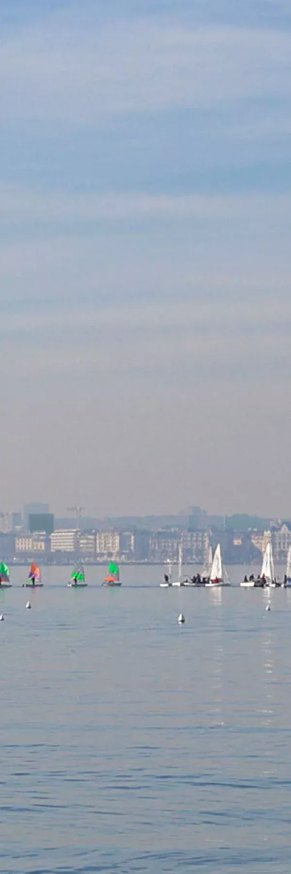 Les tours a geneve_Image de synthese_Loic Muriel_2.jpg