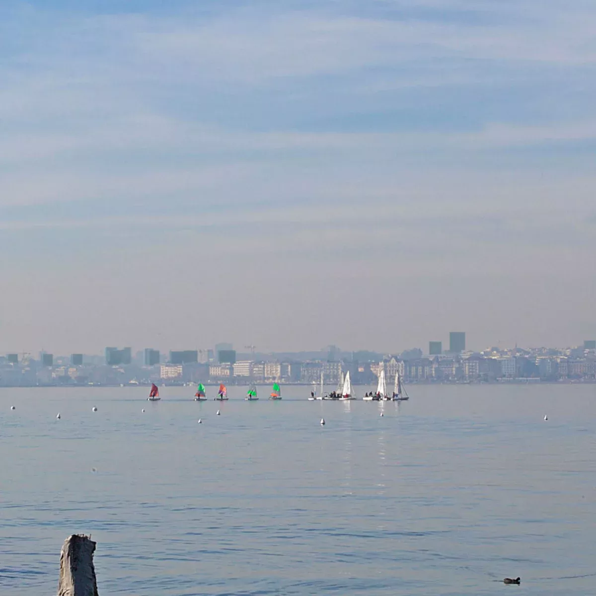 Les tours a geneve_Image de synthese_Loic Muriel_2.jpg