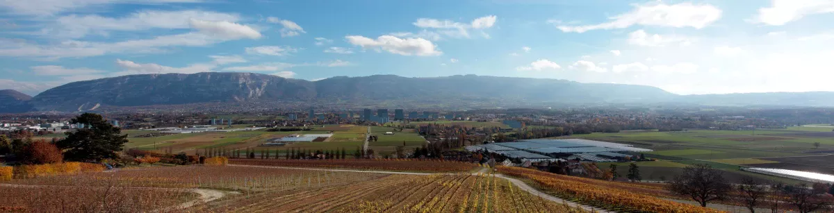 Les Tours à Genève