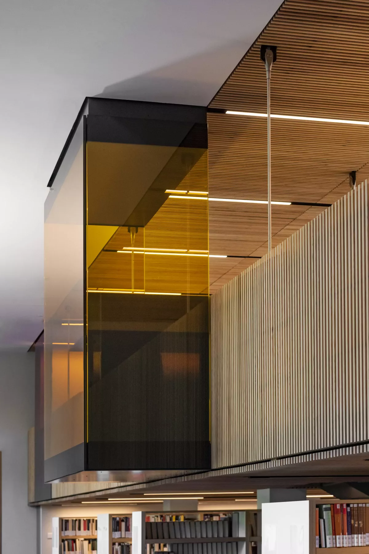 Bibliothèque de l'université de Genève _ Site des Bastions