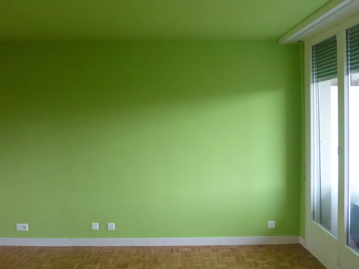 Rénovation et adaptation de logements individuels PPE