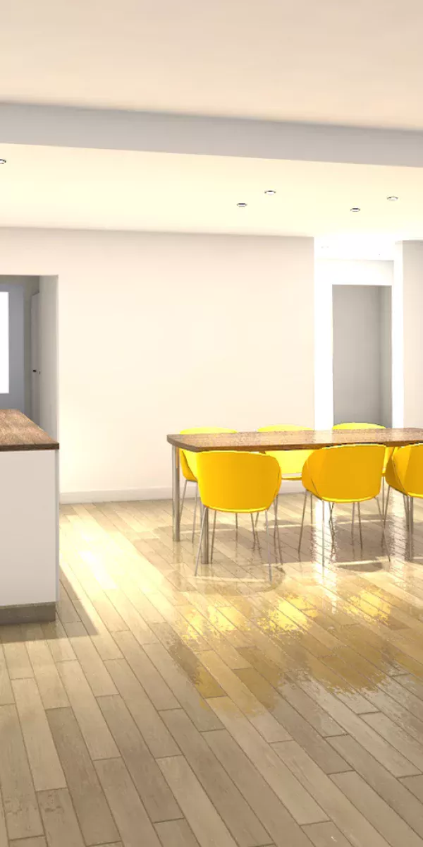 vb24-_-renovation-transformation-appartement-_-chene-bourg-_-loic-muriel-_-01-_-espaces-jour.jpg