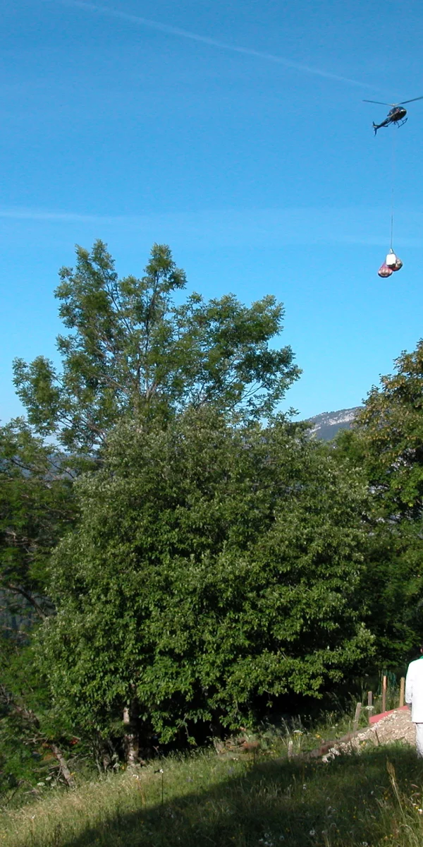 Chalet d Alpage_Renovation_Loic Muriel_0.JPG