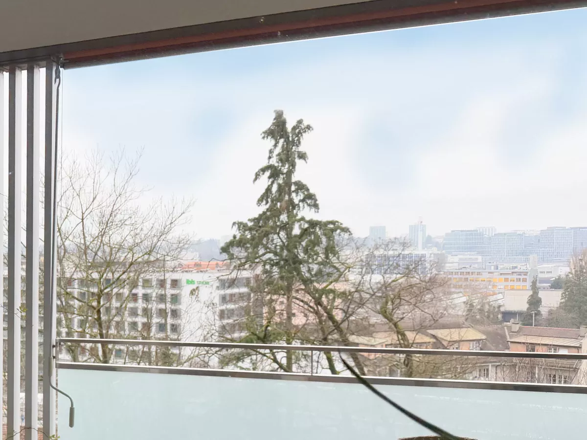 Aménagement d'un appartement à Carouge